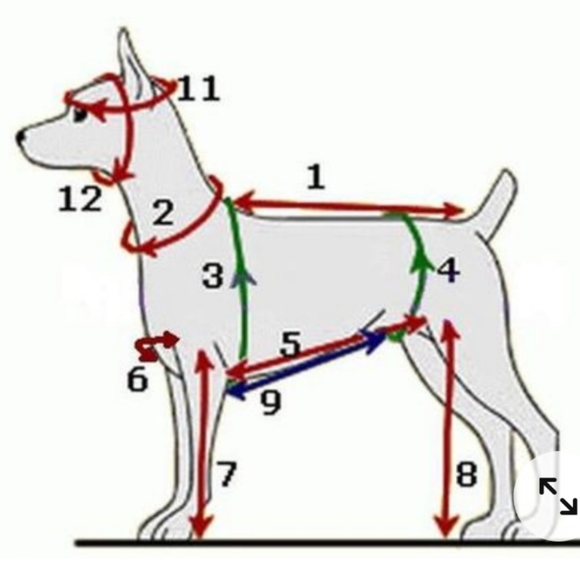 Custom Made One of A Kind Dog Harness Dress - Picture 5 of 5